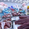 Tuna export to Canada soars