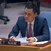 Vietnam always supports UN’s humanitarian efforts: Ambassador
