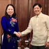 Vietnamese Vice President meets with foreign leaders in Philippines