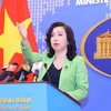 Vietnamese citizens arrested in Spain receiving support in line with law: Spokesperson 