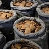 Four smugglers of pangolin scales jailed