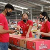 Vietnam takes lead in Southeast Asia for online purchases