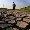 Indonesia may lose more than 36.6 billion USD due to climate change