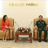 Vietnam to engage in UN peacekeeping operations more extensively: official