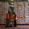 Indonesia’s rice reserves secured until year's end