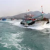 Thanh Hoa province works hard to fight IUU fishing 