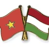 HCM City get-together marks National Day of Hungary 