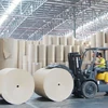 Paper industry expects to maintain high growth momentum