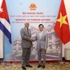 Vietnamese, Cuban foreign ministries hold seventh political consultation 