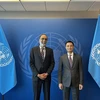 Vietnam wishes to collaborate with UN in digital transformation: ambassador
