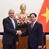 Vietnam aims to reinforce relations with Egypt: FM