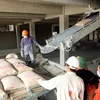 Domestic cement consumption expected to rise as exports fall