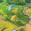 Paragliders enjoy spectacular flights over Mu Cang Chai terraced fields
