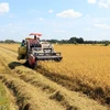 UKVFTA helps to promote agricultural trade exchanges with UK