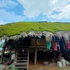 Unique green moss-covered homes of Tay Con Linh mountain range