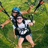 100 pilots join Khau Pha paragliding festival in Yen Bai 