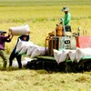 Low-carbon rice production helps Vietnam meet emission target