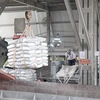 Vietnam has huge potential for co-processing of waste in cement industry