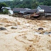 Floods kill eight in Nghe An, Ha Tinh