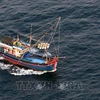 Vietnam takes more efforts to eradicate illegal fishing: Thai news site