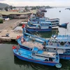 Ninh Thuan province tackles IUU fishing