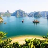 Vietnam among most searched tourist destinations on Google by Australians