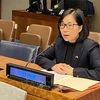 Vietnam highlights importance of decolonisation at UN committee’s session