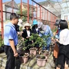 Training course enhances capacity of plant protection officers in central region