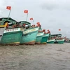 Ca Mau: all fishing vessels equipped with VMS equipment