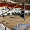 Hanoi centre rescues over 770 wild animals