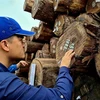 Huge potential for Vietnam’s timber exports