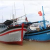 Ba Ria-Vung Tau: fishing vessels without monitoring system not allowed to go out to sea 