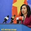 Situation of Vietnamese workers in Africa sees certain improvements: spokesperson 