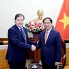 Vietnamese, Chilean foreign ministries hold political consultation