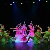 Twenty dance troupes to compete in HCM City dance fest