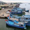 Many things to do to fight IUU fishing: VINAFIS leader