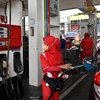 Indonesia to extend gas exports to Singapore
