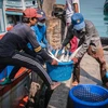Thailand assists fishermen with low-interest loans 