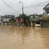 Rainfall this year above average, more typhoons possible