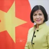 Vietnam hopes for further support from ILO: ambassador