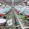 Aquatic exports likely to hit record of over 10 bln USD in 2022