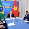 Vietnam, Brazil hold deputy ministerial-level political consultation 