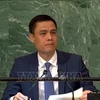 Vietnam calls on ASEAN to enhance coordination at UN