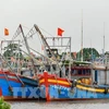  Thanh Hoa vessels possible of violating rules against IUU fishing announced