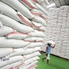 Thailand may rank world’s second in rice exports this year