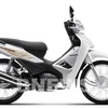 Honda Vietnam’s motorbike, automobile sales drop in November