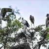 WWF commends Vietnam’s biodiversity conservation