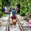 8.1 million poor people reported in Thailand 