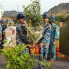Tet gifts delivered to Truong Sa soldiers, people