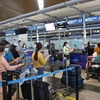 Vietnam Airlines increases flight frequency for year-end travel rush